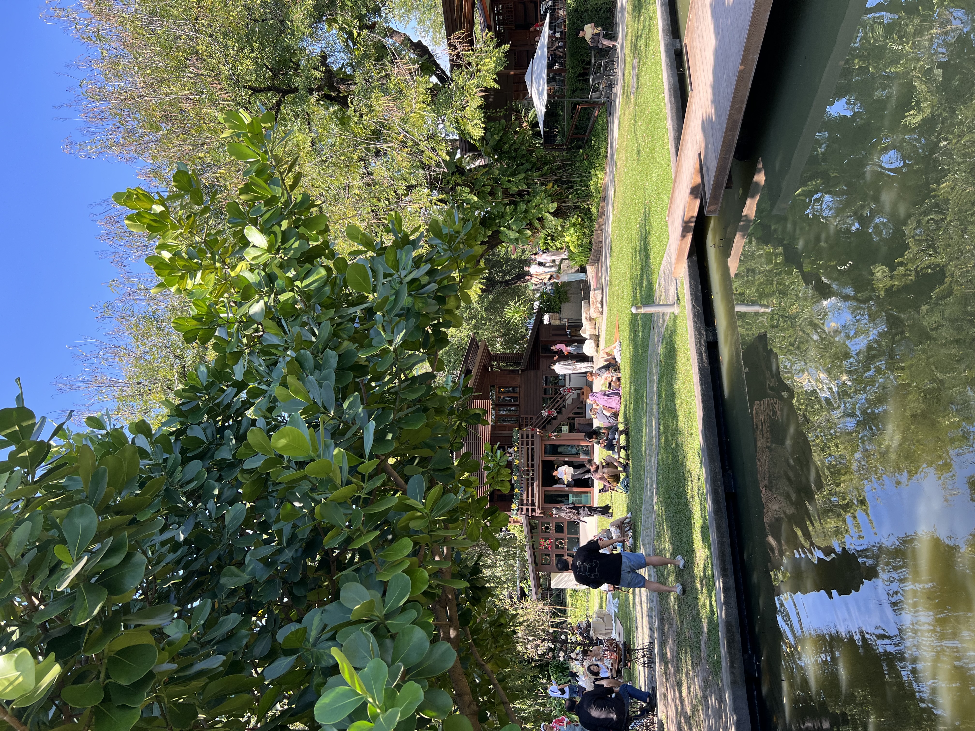 Chiang Mai garden cafe