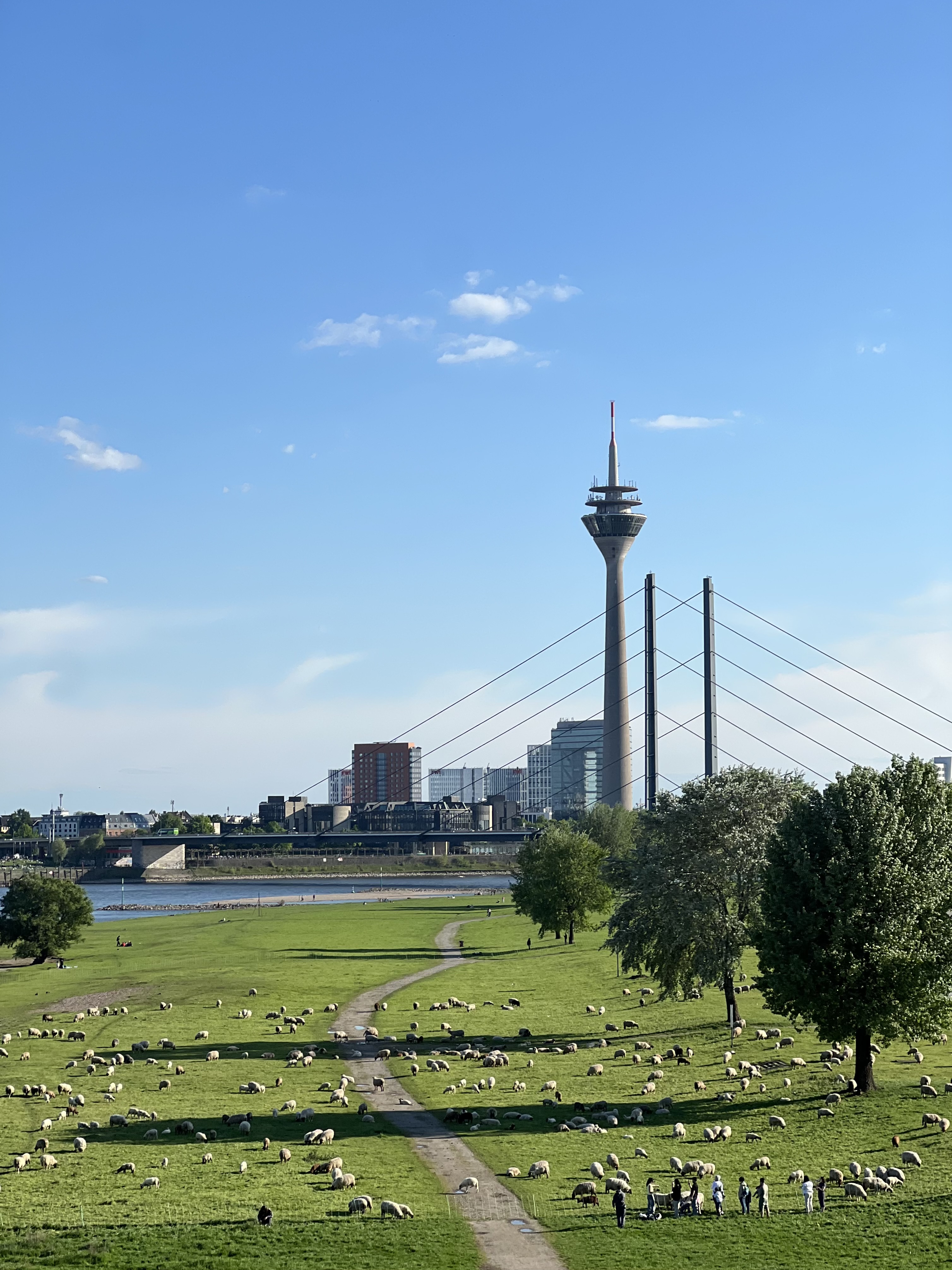 Düsseldorf city view